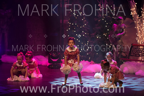 BCA Nov15 Sat3 Tiny Pom-2