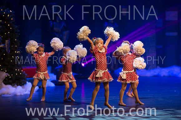 BCA Nov15 Sat11 Tiny Pom-25