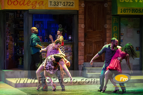 Skylight In the Heights Preview-109