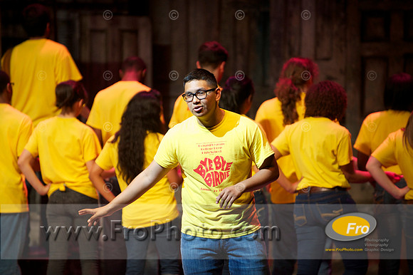 Skylight HSM Celebration 2013 002