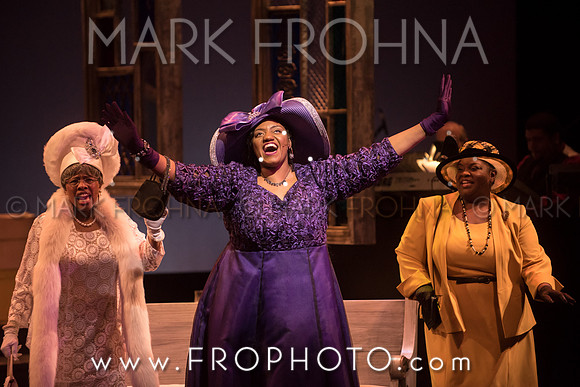 Skylight Crowns Preview-61