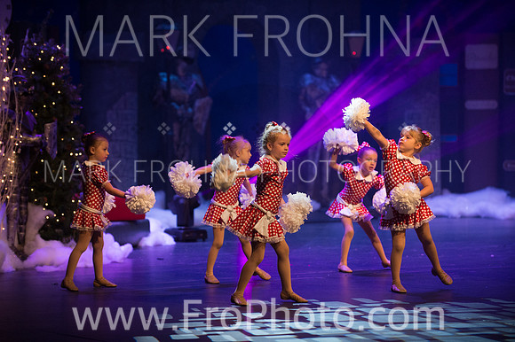 BCA Nov15 Sat11 Tiny Pom-30