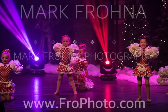 BCA Nov15 Sat3 Tiny Pom-3