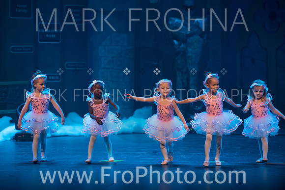 BCA Nov15 Sat200 Twelve Princesses-1