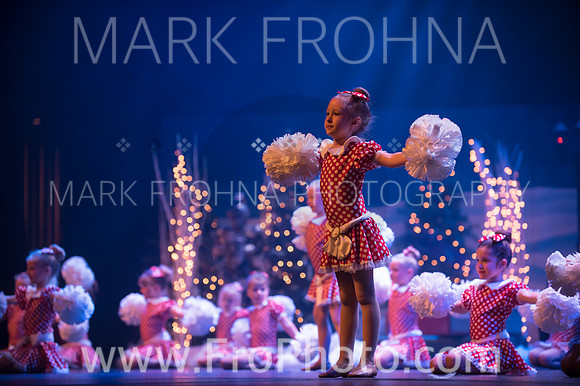 BCA Nov15 Sat100 Tiny Pom-3
