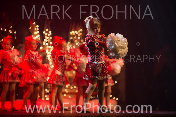 BCA Nov15 Sat200 Tiny Pom-8