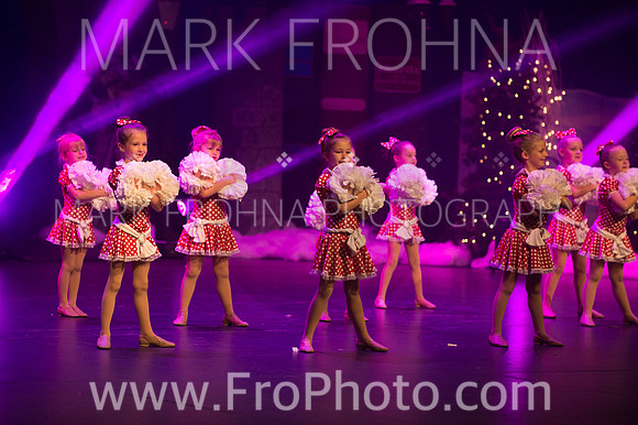 BCA Nov15 Sat11 Tiny Pom-1