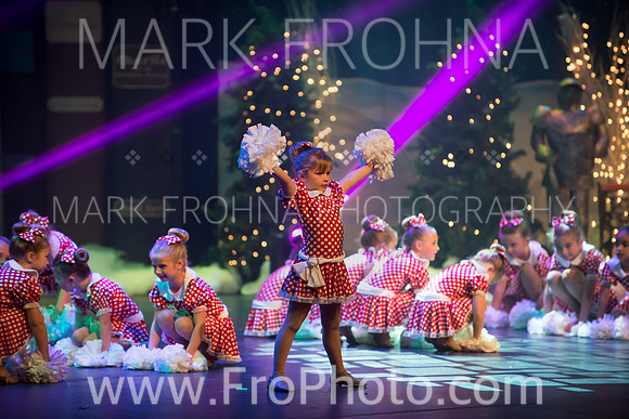 BCA Nov15 Sat11 Tiny Pom-14