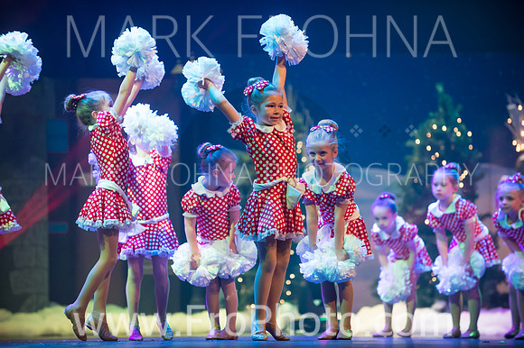 BCA Nov15 Sat200 Tiny Pom-10