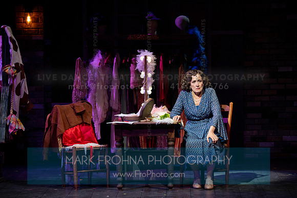 Skylight Gypsy Highlights 24