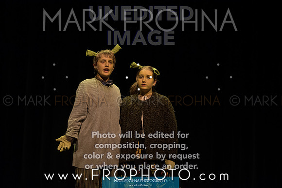 BCA Shrek 2016-26