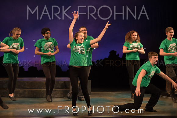 Skylight HSM16 Oak Creek Song of Love-28