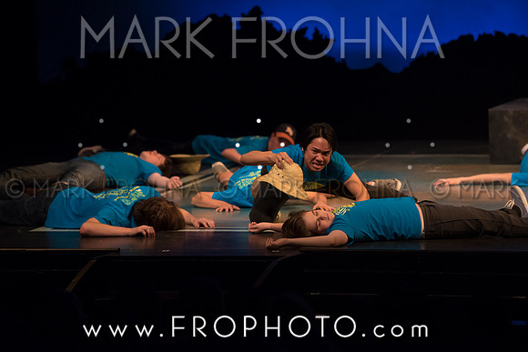 Skylight HSM16 Shorewood South Pacific-52
