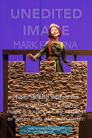 BCA Shrek 2016-227
