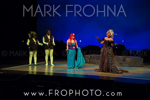 Skylight HSM16 Riverside Mermaid-5