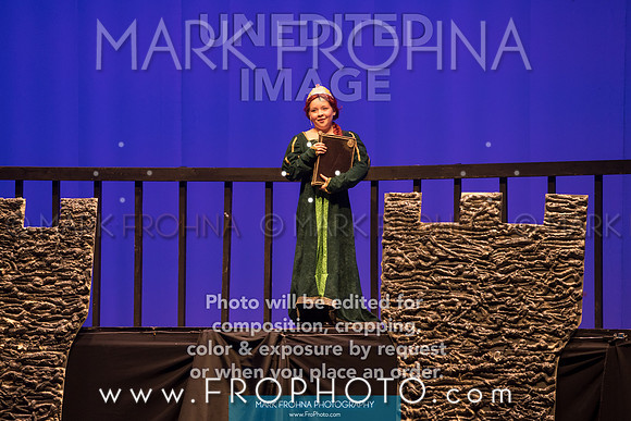 BCA Shrek 2016-199