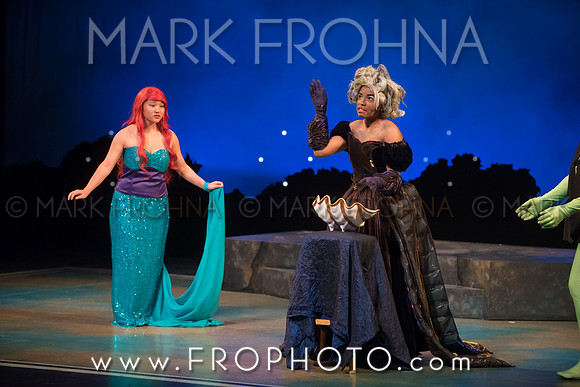 Skylight HSM16 Riverside Mermaid-13