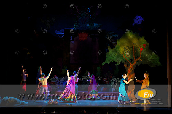 Skylight Fidelio Preview 018