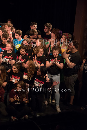 Skylight HSM16 Bows-16