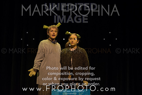 BCA Shrek 2016-26