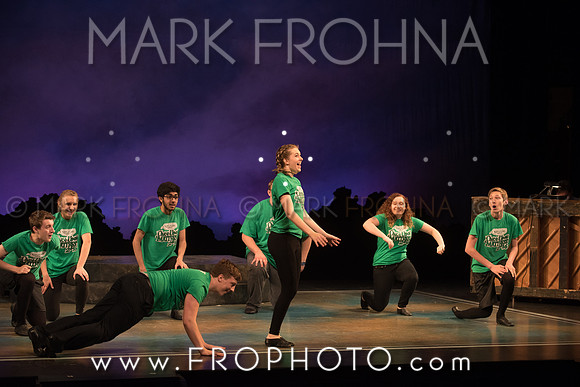 Skylight HSM16 Oak Creek Song of Love-32