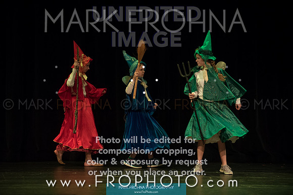 BCA Shrek 2016-33