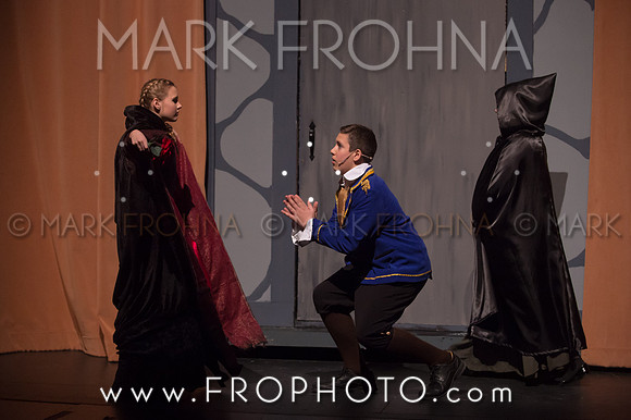 PPMS Beauty and the Beast-7