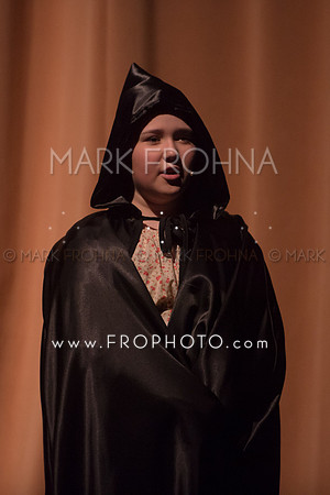 PPMS Beauty and the Beast-4