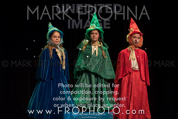BCA Shrek 2016-6