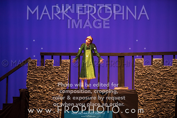 BCA Shrek 2016-216