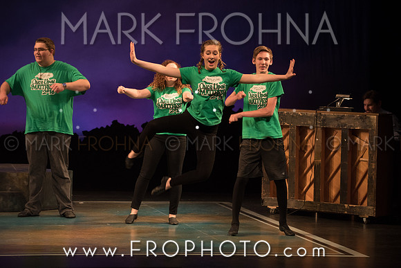 Skylight HSM16 Oak Creek Song of Love-6