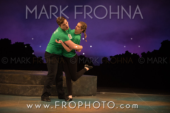 Skylight HSM16 Oak Creek Song of Love-2