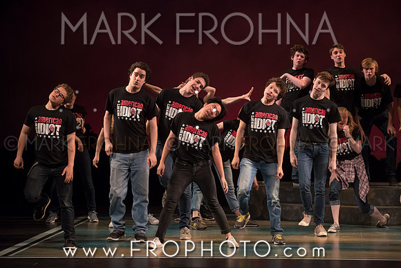 Skylight HSM16 Shorewood American Idiot-33