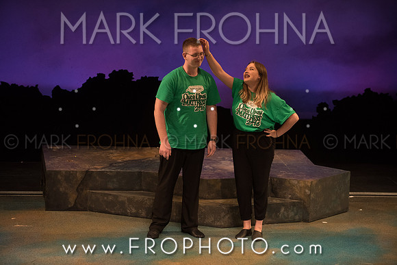 Skylight HSM16 Oak Creek Sensitivity-5