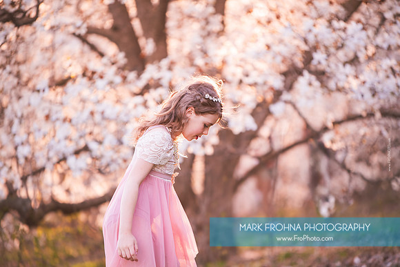 Holly Z Magnolias 2025-14