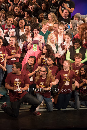 Skylight HSM16 Bows-20