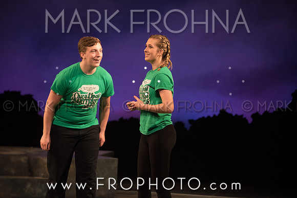 Skylight HSM16 Oak Creek Song of Love-1