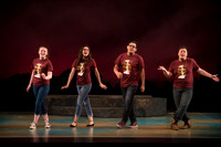 Skylight HSM16 Reagan Elegance-8