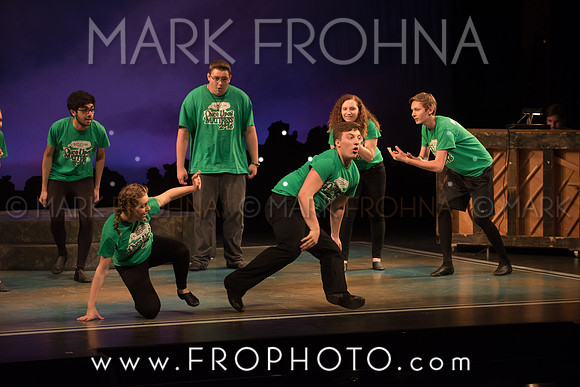 Skylight HSM16 Oak Creek Song of Love-19