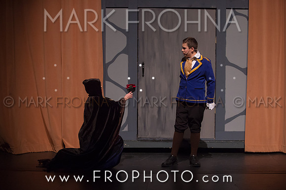 PPMS Beauty and the Beast-2