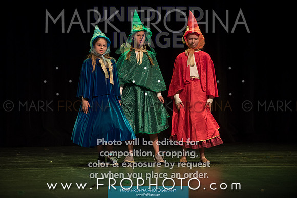 BCA Shrek 2016-3