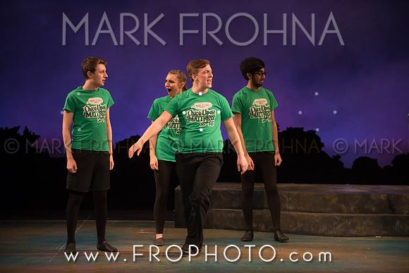 Skylight HSM16 Oak Creek Song of Love-5