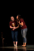 Skylight HSM16 Reagan Elegance-10