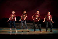 Skylight HSM16 Reagan Elegance-7