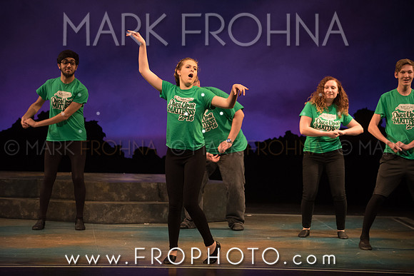 Skylight HSM16 Oak Creek Song of Love-13