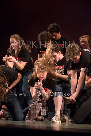 Skylight HSM16 Shorewood American Idiot-29