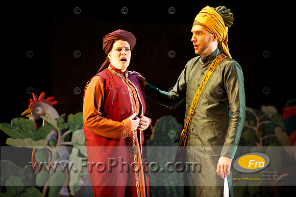 Skylight Fidelio Media 029