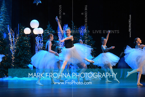 BCA Nov16 PPC Flowers-181