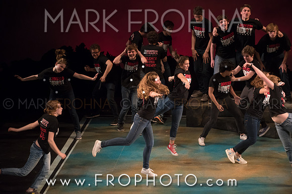 Skylight HSM16 Shorewood American Idiot-36