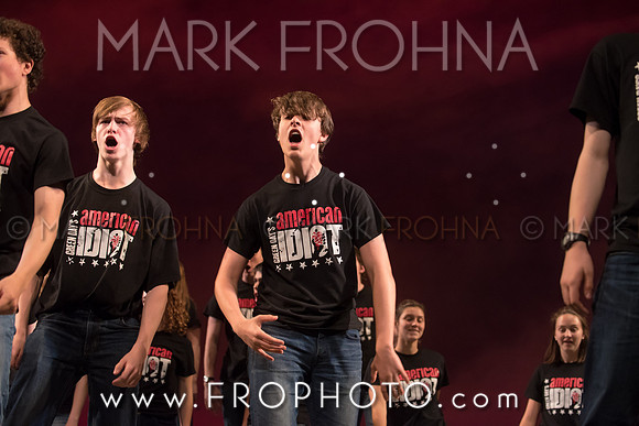 Skylight HSM16 Shorewood American Idiot-16